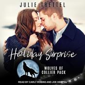 Holiday Surprise by  Julie Trettel audiobook