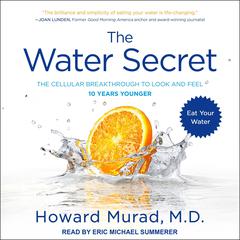 The Water Secret by Howard Murad audiobook