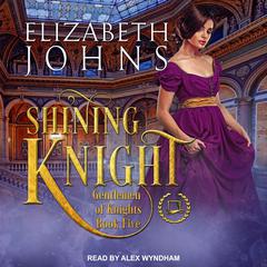 Shining Knight by Elizabeth Johns audiobook