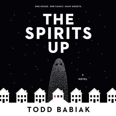 The Spirits Up by Todd Babiak audiobook