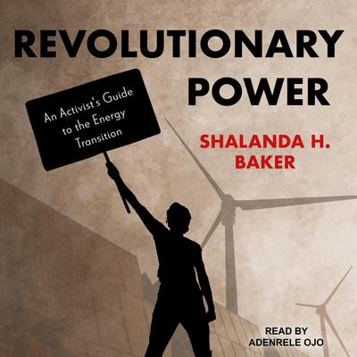 Revolutionary Power by Shalanda H. Baker audiobook