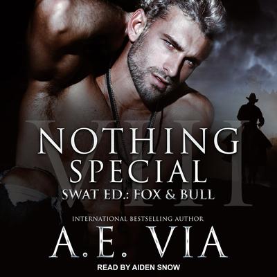 Nothing Special VIII by A. E. Via audiobook