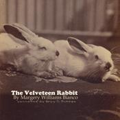 The Velveteen Rabbit by  Margery Williams audiobook