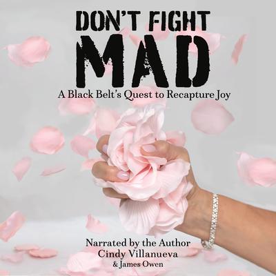 Don't Fight Mad by Cindy Villanueva audiobook