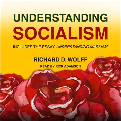 Understanding Socialism by Richard D. Wolff audiobook