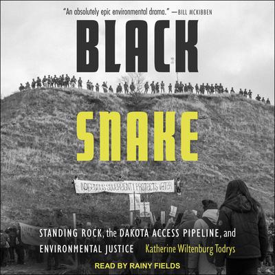 Black Snake by Katherine Wiltenburg Todrys audiobook