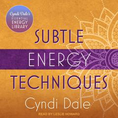 Subtle Energy Techniques by Cyndi Dale audiobook