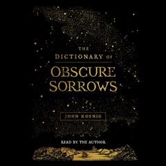 The Dictionary of Obscure Sorrows by John Koenig audiobook