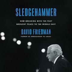 Sledgehammer by David Friedman audiobook