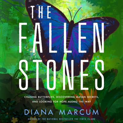 The Fallen Stones by Diana Marcum audiobook