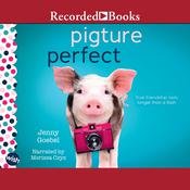 Pigture Perfect by  Jenny Goebel audiobook