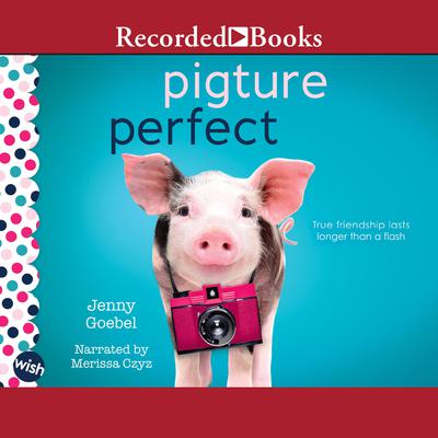 Pigture Perfect by Jenny Goebel audiobook