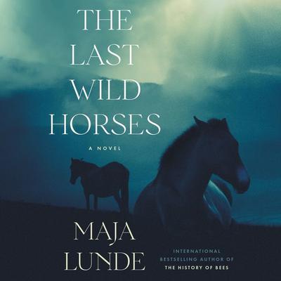 The Last Wild Horses by Maja Lunde audiobook