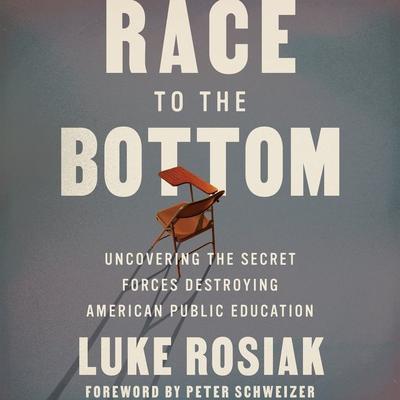 Race to the Bottom by Luke Rosiak audiobook