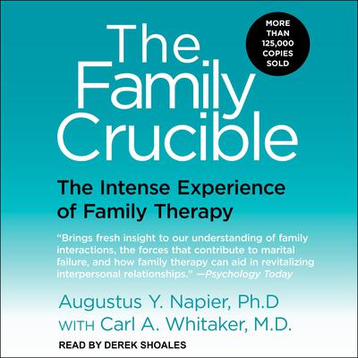 The Family Crucible by Augustus Y. Napier audiobook