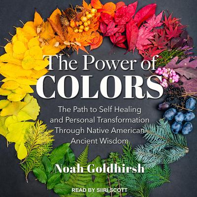 The Power of Colors by Noah Goldhirsh audiobook