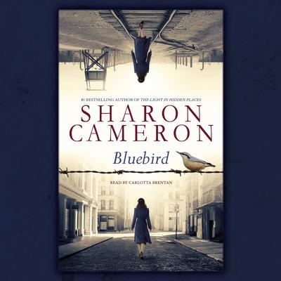 Bluebird by Sharon Cameron audiobook