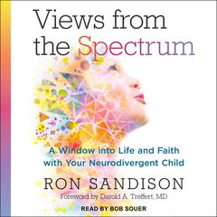 Views from the Spectrum by Ron Sandison audiobook