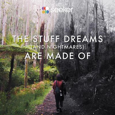 The Stuff Dreams (And Nightmares) Are Made Of by Seeker  audiobook