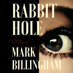 Rabbit Hole by Mark Billingham audiobook