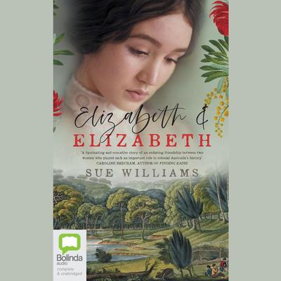 Elizabeth and Elizabeth by Sue Williams audiobook