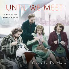 Until We Meet by Camille Di Maio audiobook