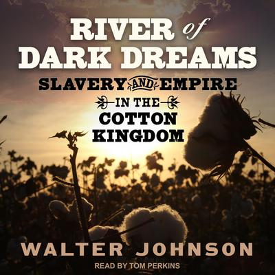 River of Dark Dreams by Walter Johnson audiobook