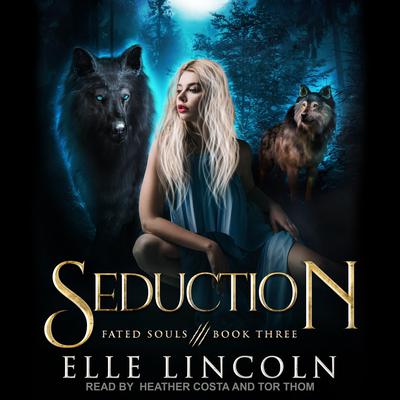 Seduction by Elle Lincoln audiobook