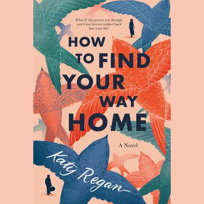 How to Find Your Way Home by Katy Regan audiobook
