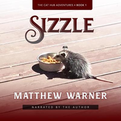 Sizzle by Matthew Warner audiobook