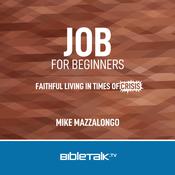 Job for Beginners by  Mike Mazzalongo audiobook