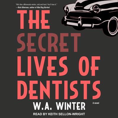 The Secret Lives of Dentists by W.A. Winter audiobook