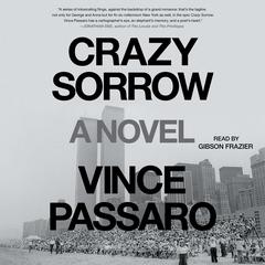 Crazy Sorrow by Vince Passaro audiobook