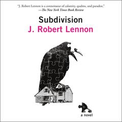 Subdivision by J. Robert Lennon audiobook