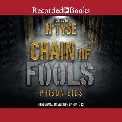 Chain of Fools by N’Tyse audiobook
