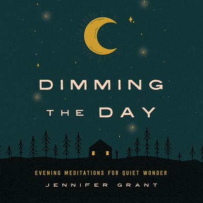 Dimming the Day by Jennifer Grant audiobook