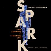 Spark by  Timothy J. Jorgensen audiobook