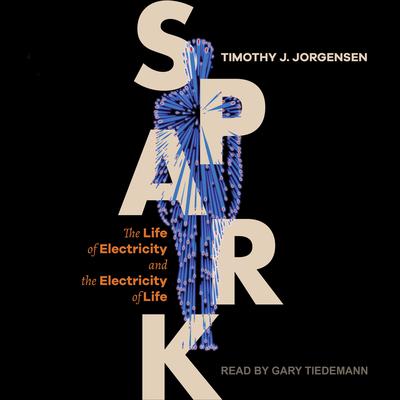 Spark by Timothy J. Jorgensen audiobook