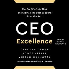 CEO Excellence by Carolyn Dewar audiobook
