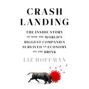 Crash Landing by  Liz Hoffman audiobook