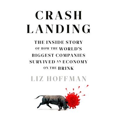 Crash Landing by Liz Hoffman audiobook