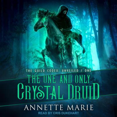 The One and Only Crystal Druid by Annette Marie audiobook