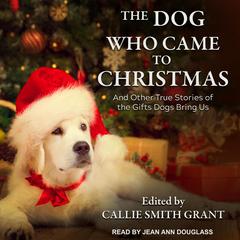 The Dog Who Came to Christmas by Callie Smith Grant audiobook