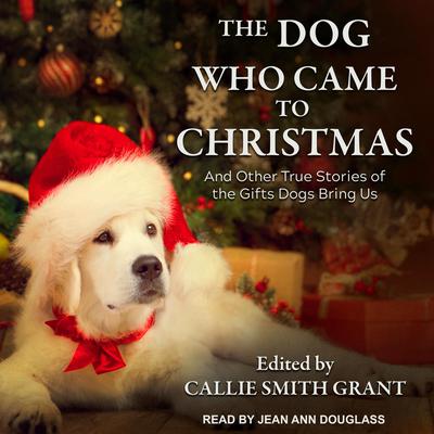 The Dog Who Came to Christmas by Callie Smith Grant audiobook