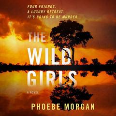 The Wild Girls by Phoebe Morgan audiobook
