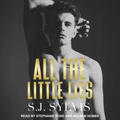 All the Little Lies by  S.J. Sylvis audiobook