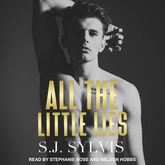 All the Little Lies by S.J. Sylvis audiobook