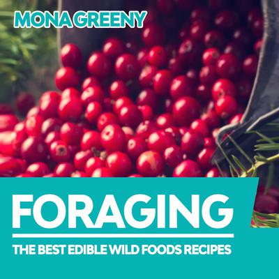 Foraging by Mona Greeny audiobook