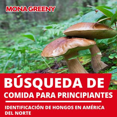 Búsqueda de comida para principiantes by Mona Greeny audiobook