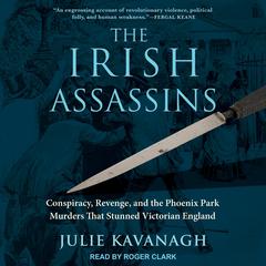 The Irish Assassins by Julie Kavanagh audiobook
